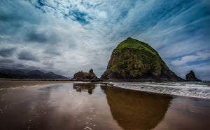 Rock in the Middle of Nowhere